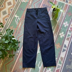 Banana Republic International Exclusive Pants